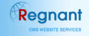 Low price CMS websites - @ 250 USD