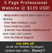 Affordable Web site packages with 40% off!