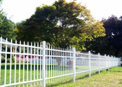 Aluminum Fence in TX