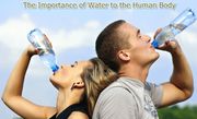 The Importance of Water to the Body
