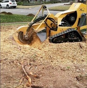 MSG STUMP GRINDING SERVICES AT YOUR SERVICE. !!!FREE ESTIMATES!!!