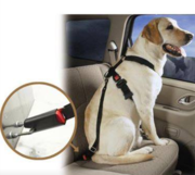 FREE Dog Seat Belt. This could save your dogs life!