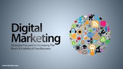 Top Digital Marketing Agency in Dallas,  TX
