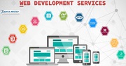 Website Designing & Development - SEO Services Providing Company India