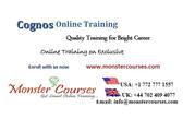 Congos online Training Classes by Monstercourses