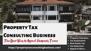 Property Tax Consulting Business