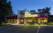 Complete List of Mellow Mushroom Restaurant Locations in the USA