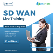 Cisco SD WAN Training - Attend Free Demo