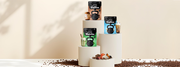 OrganiiLand Protein Coffee: Barista-Level Energy & Recovery Without th