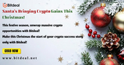 Santa's Bringing Crypto Gains This Christmas! Limited-Time Exchange